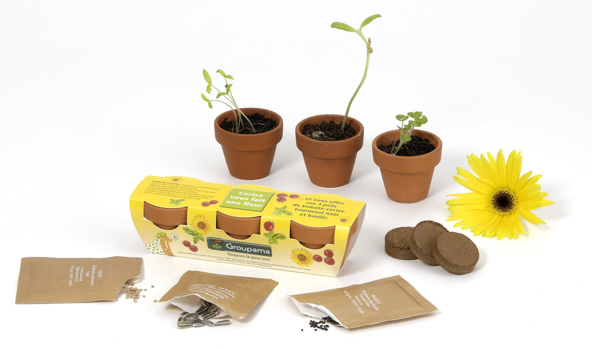 http://www.objet-publicitaire-france.fr/images/produits-france/large/kit-plantation-personnalisable-fabrication-francaise_jaune.jpg