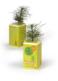 arbres publicitaires made in france jaune 