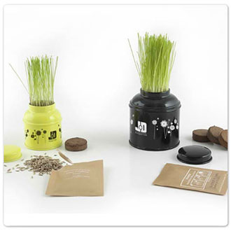 cadeau nature Entreprise 